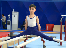 Bakıda kişi idman gimnastikası üzrə çoxnövçülükdə yarışlar başlayıb. Azərbaycan, 5 dekabr 2015